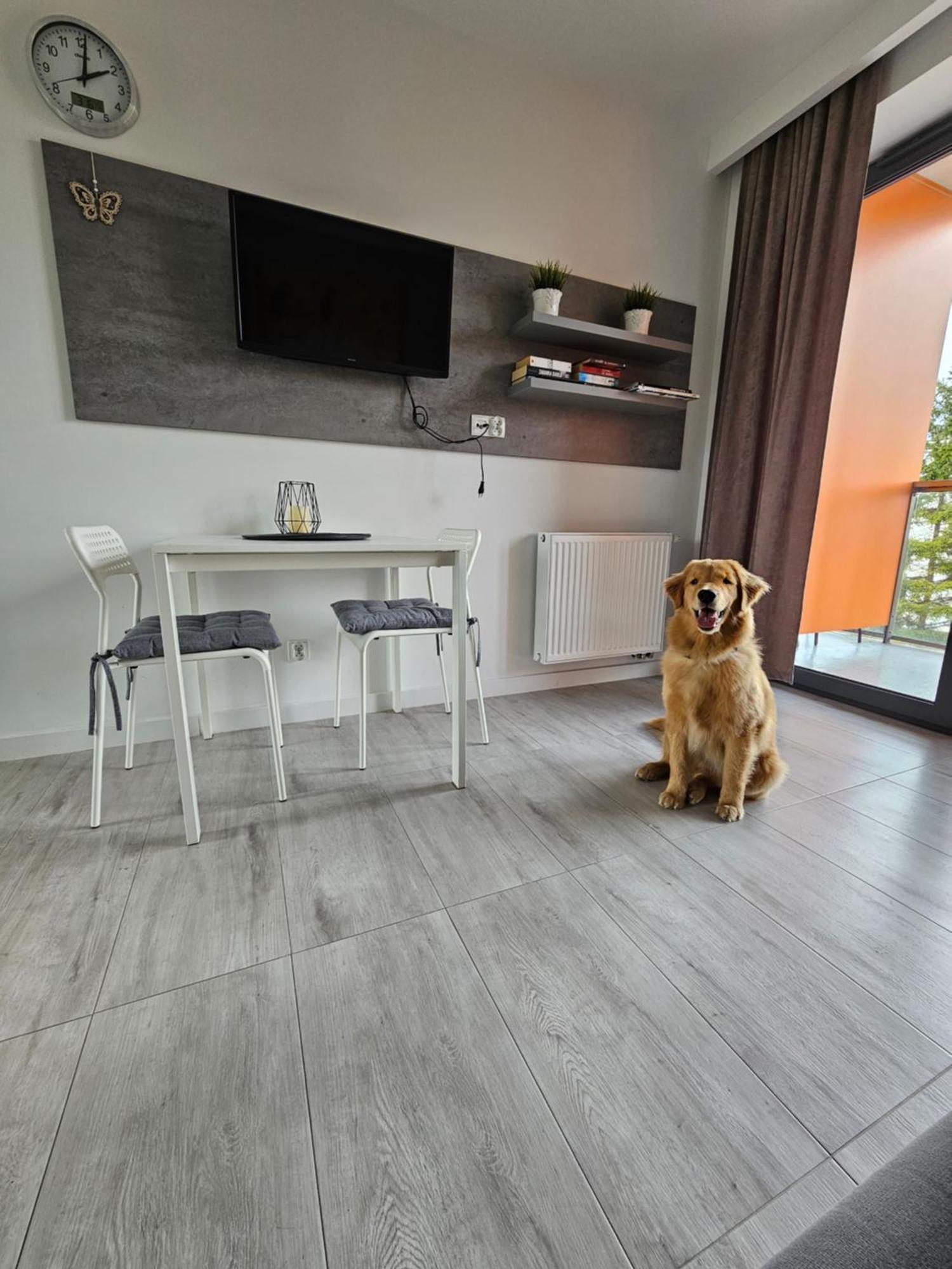 Apartament B106 - Residence Jastrzębia Góra エクステリア 写真